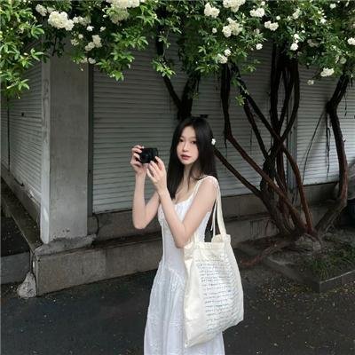 间谍过家家代号:白